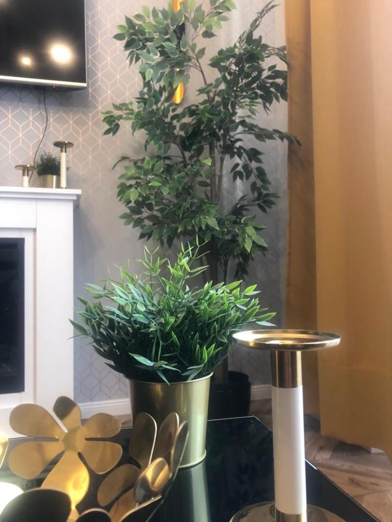 Glamorous Apartment Old Town Cracow 크라쿠프 외부 사진